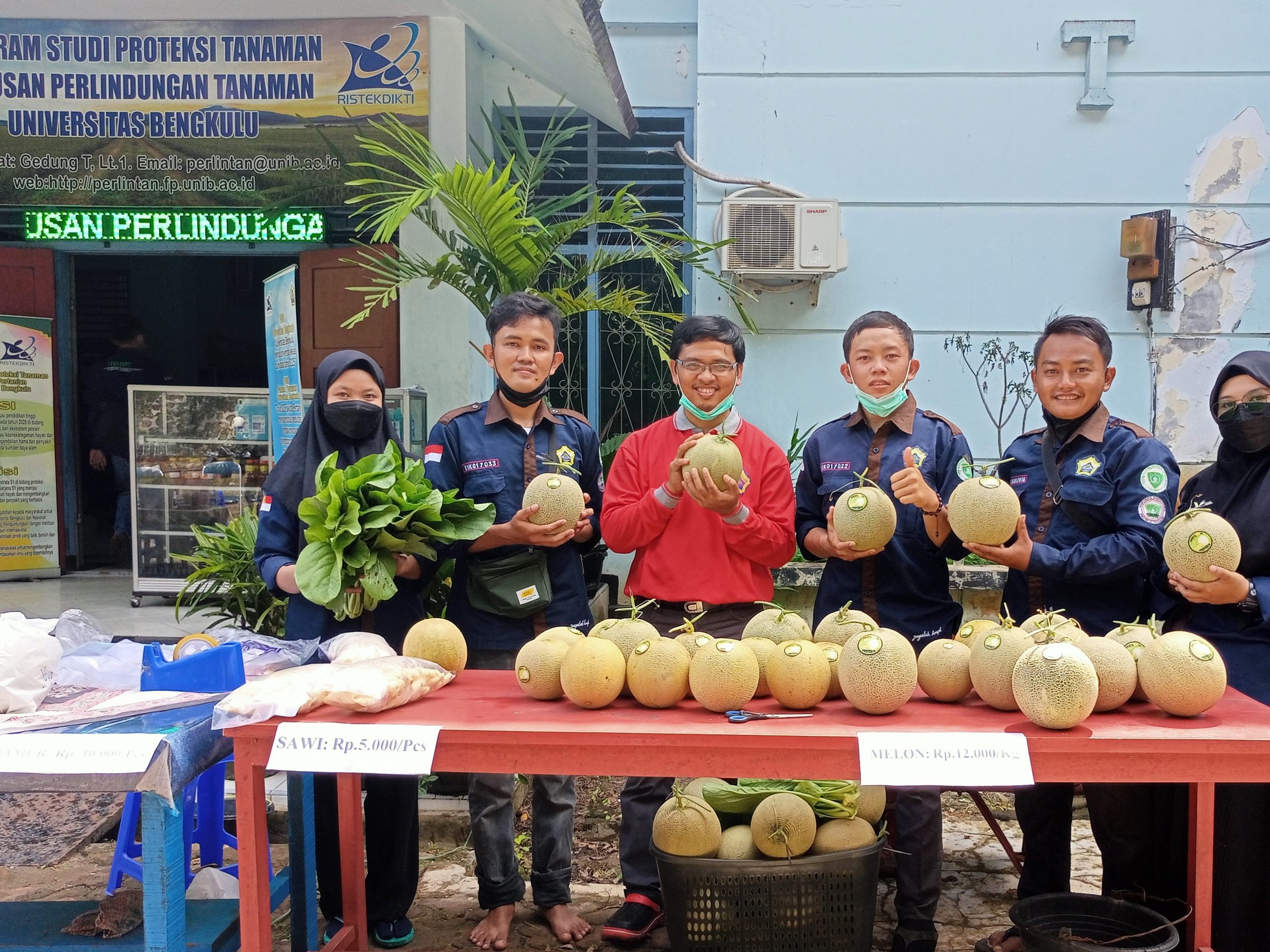 Panen Raya, Mahasiswa Unib Berhasil Tanam Melon