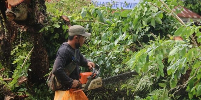 BPBD Imbau Warga Jauhi Pohon dan Bangunan Berpotensi Roboh