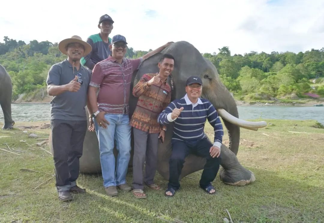 Tegakkan Hukum,  Selamatkan Gajah Sumatera!