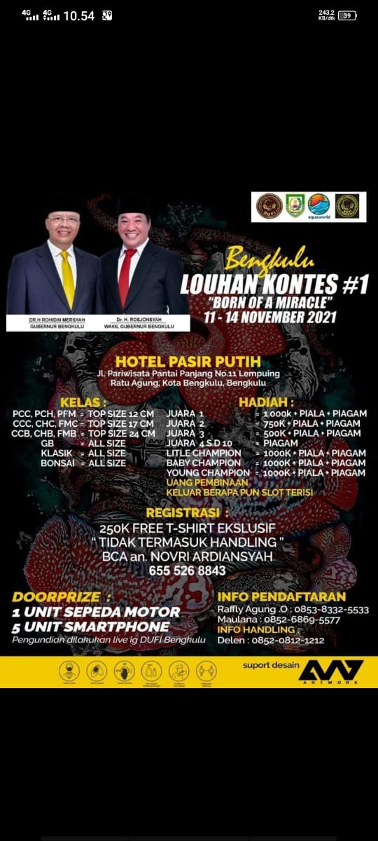 HUT Provinsi, Bengkulu Louhan Kontes#1