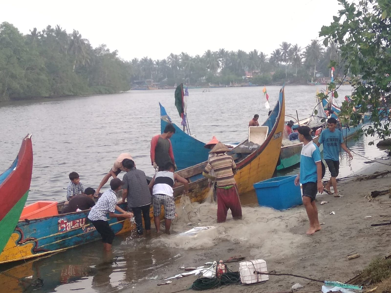 Nelayan Mukomuko Dihadang Manyung