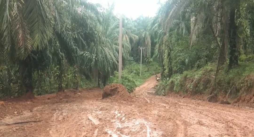 Tiang Listrik Bercokol Ditengah Jalan Seluma