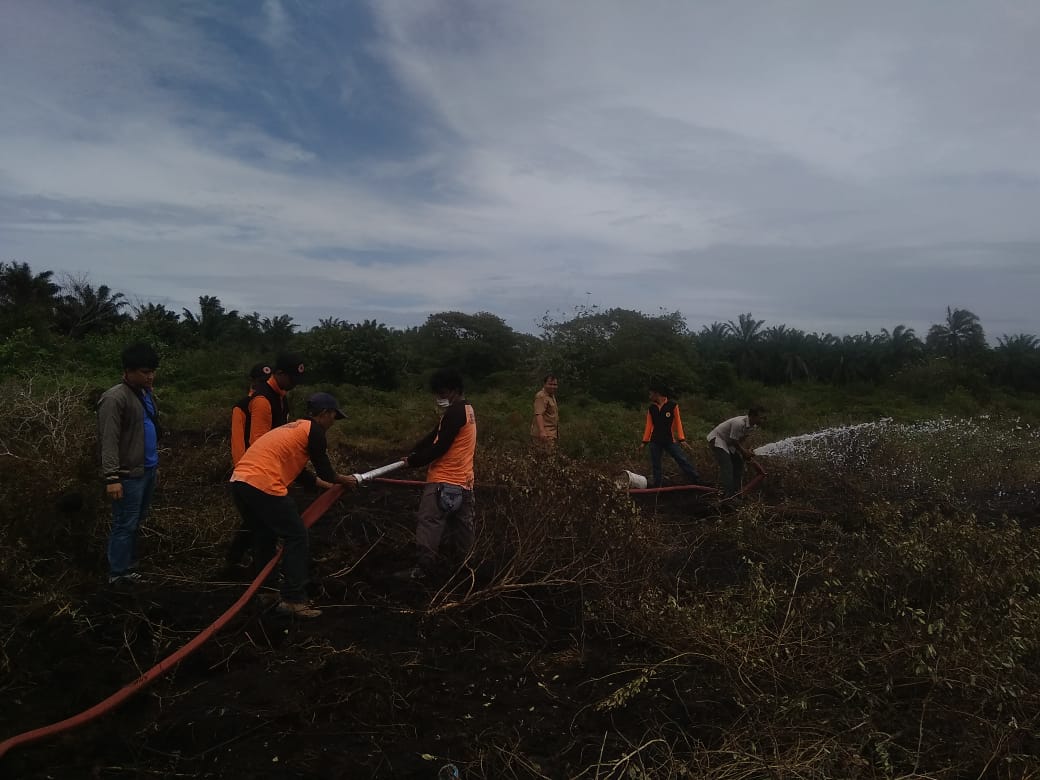 BPBD dan Damkar Padamkan Kebakaran Gambut Belakang Makodim Mukomuko