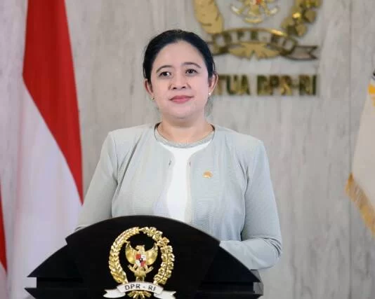 Puan Maharani: Sayangkan Harga MinyaK Goreng Tinggi