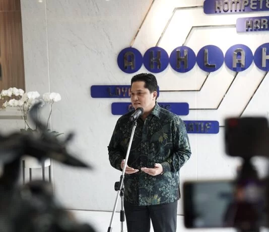 Terungkap, Alasan Erick Thohir Copot Direktur PLN