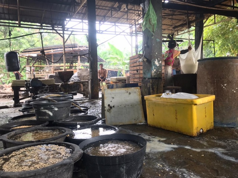 Tahu dan Tempe Menipis di Seluma