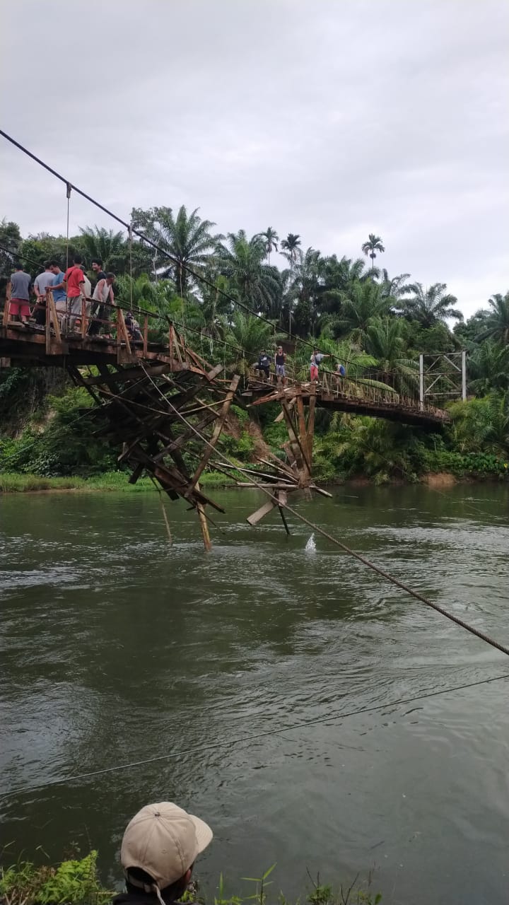 Jembatan Gantung Desa Pondok Lunang Jebol, Mobil Angkutan Sawit Terjun ke Sungai