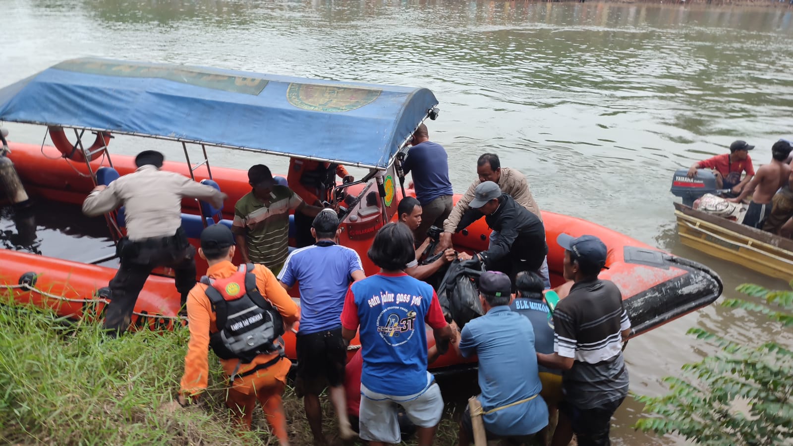 Ini Perdana, Buaya Sungai Selagan   Mukomuko Serang Warga