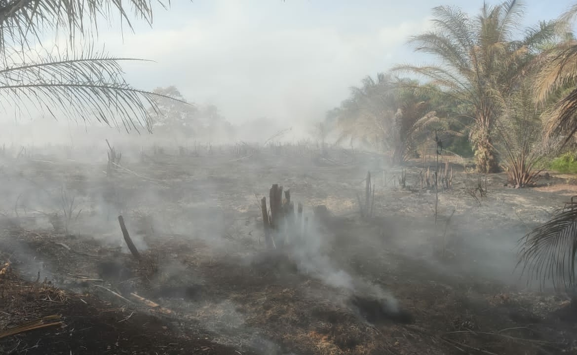 Pemilik   Lahan Gambut yang Terbakar Bakal Dipanggil Polisi