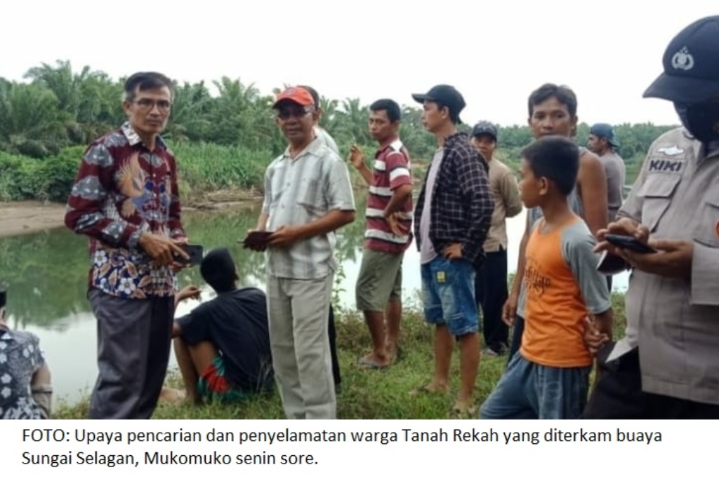 Tragis, Warga Diterkam Buaya Diselamtimbulkan