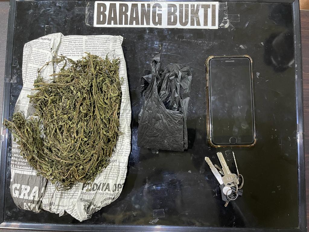 Kedapatan Simpan Ganja,  Dua Pelajar Ditangkap di Pematang Gubernur