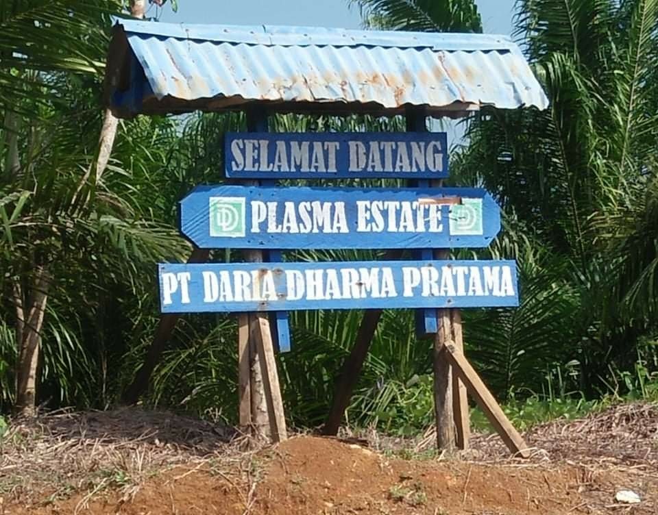 Sertifikat Tanah Milik Anggota Kebun Plasma PT DDP Tergadai di Bank