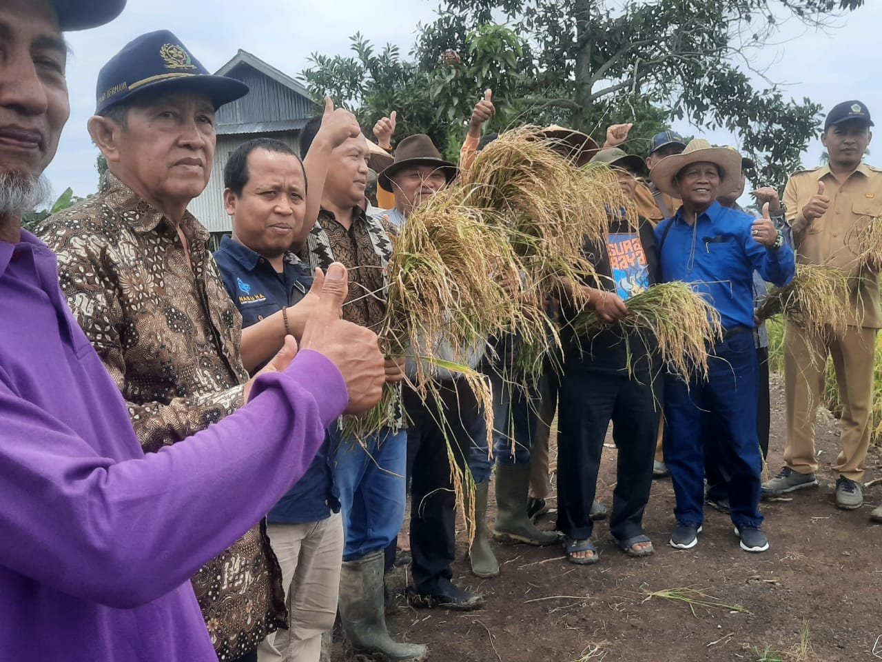 Penataan Pupuk Yang Baik Bisa Meningkatkan Produksi