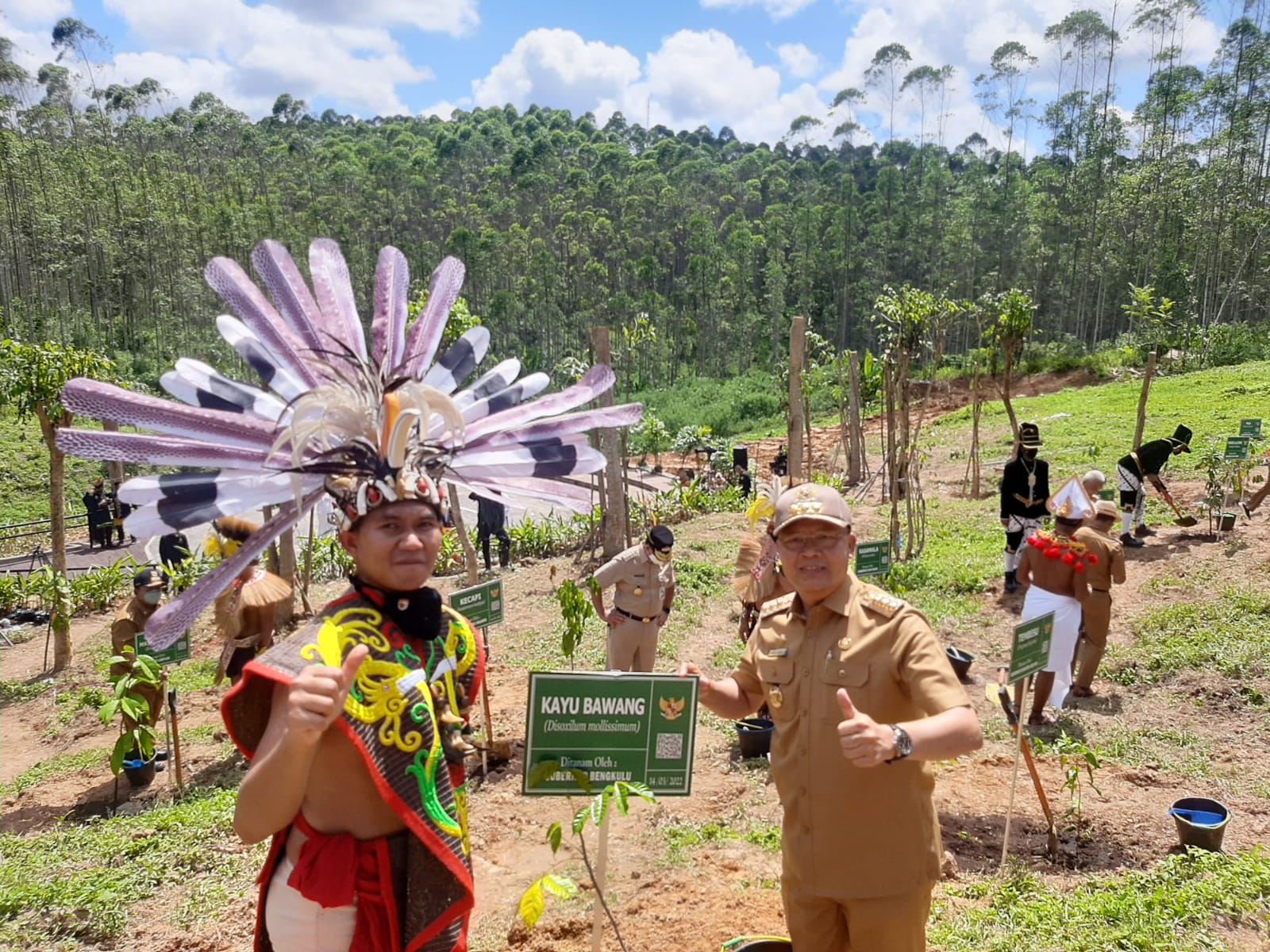 Gubernur Bengkulu Tanam Kayu Bawang  Dukung Pemindahan IKN Nusantara