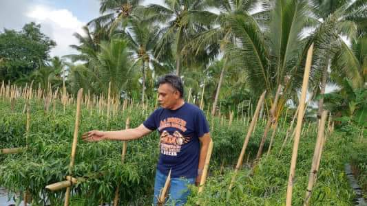 Catatan Dahlan Iskan: Mati Hidup