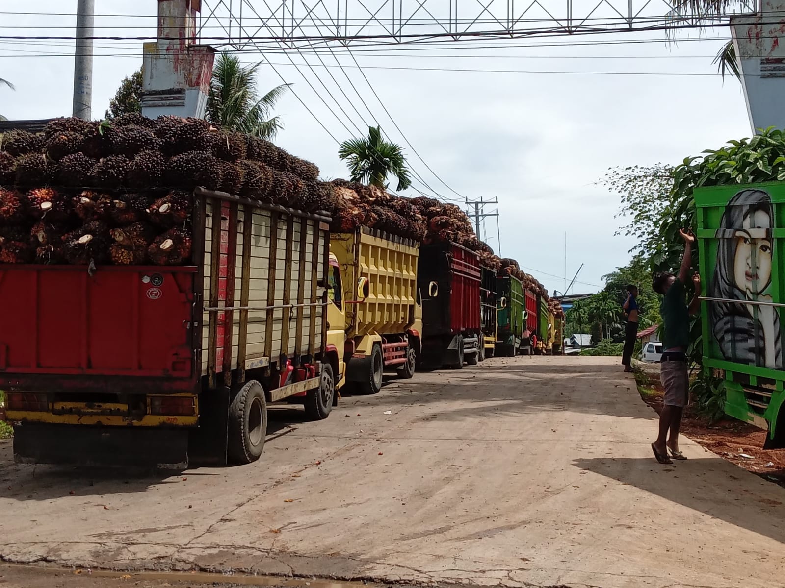 Makin Parah, Pembelian Sawit di Bengkulu Tengah Distop 