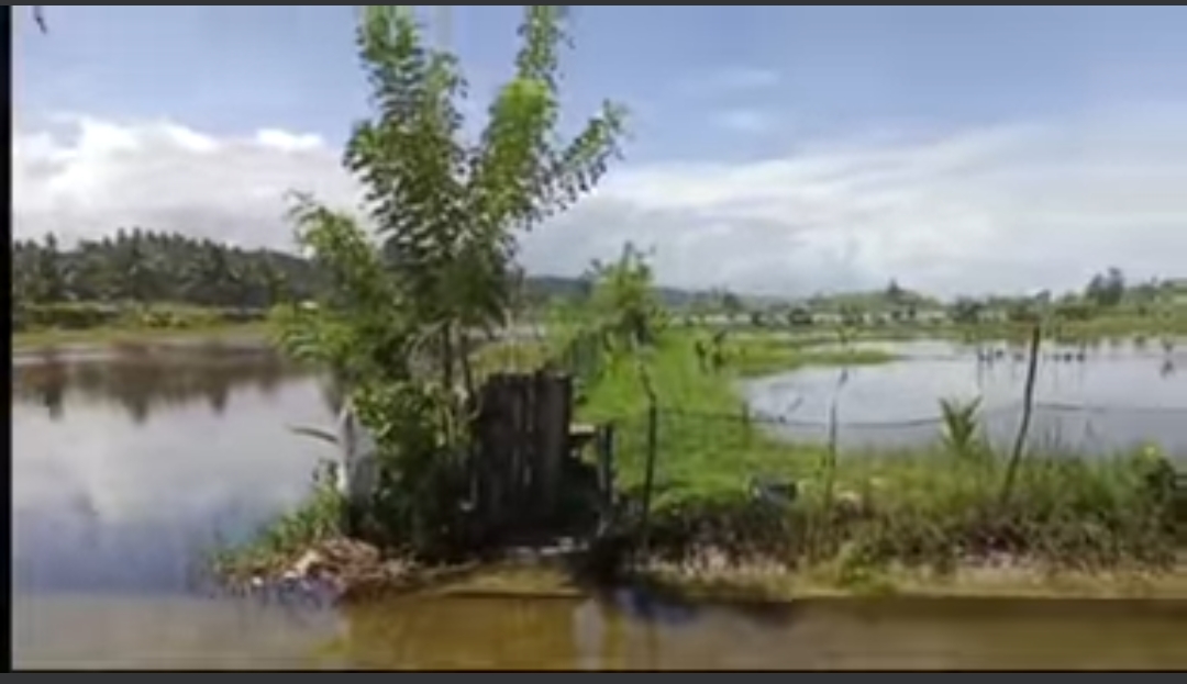 Siagakan Alat Berat, Bupati Bengkulu Selatan Perintahkan TRC Atasi Banjir Bunga Mas
