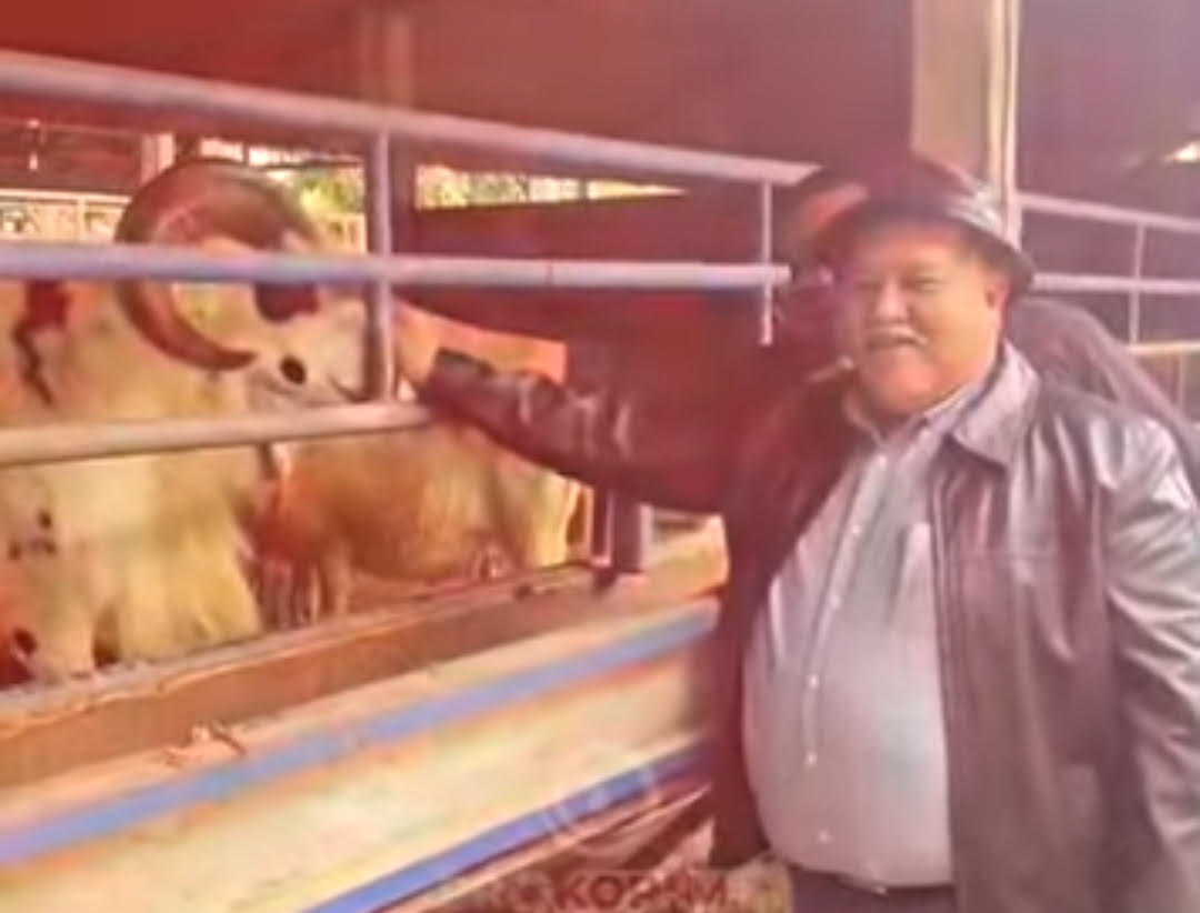  Bahas Kambing, Bupati Bengkulu Selatan Kunjungi Jombang Jawa Timur