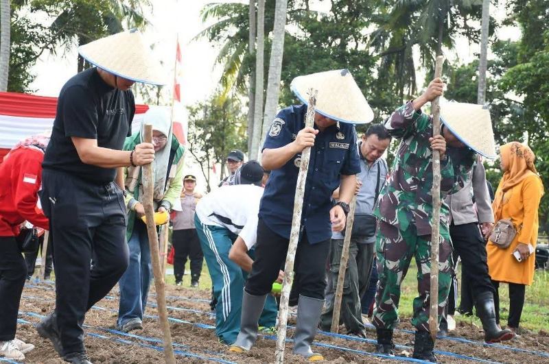 Pemkot  Bengkulu Galakkan Menanam Buah Sepanjang Pantai Panjang