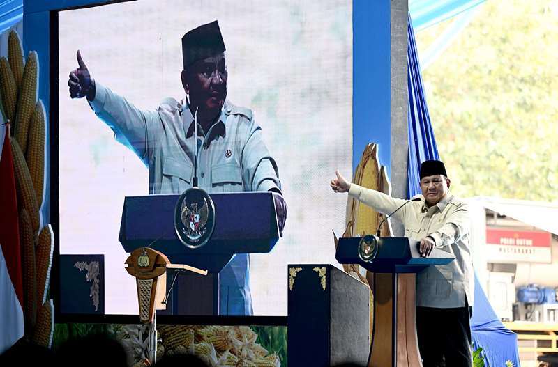 Program Makan Bergizi Gratis  Jadi Penggerak Ekonomi Desa