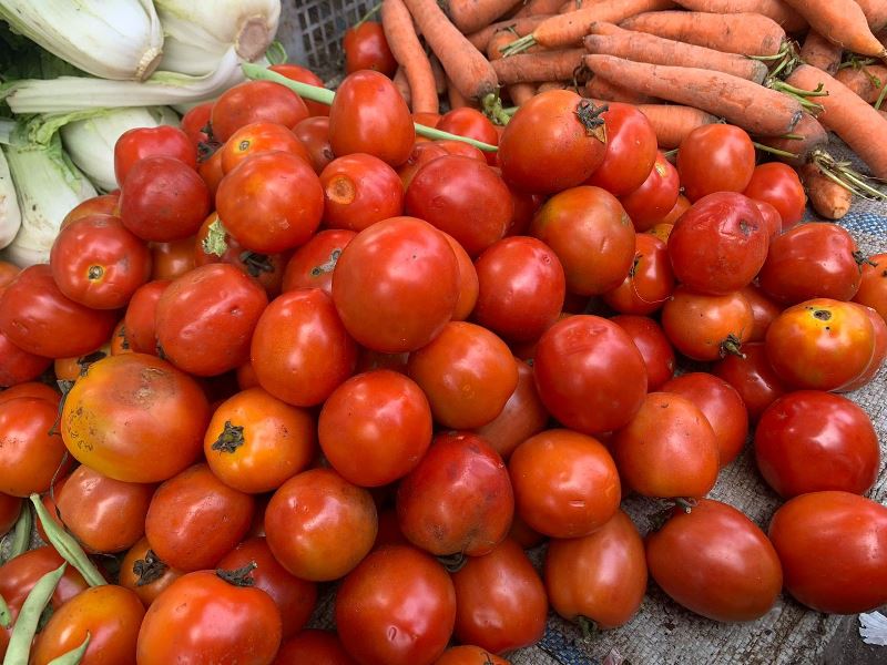 Pedagang Mulai Bersemangat,  Harga Tomat Sudah Meningkat 