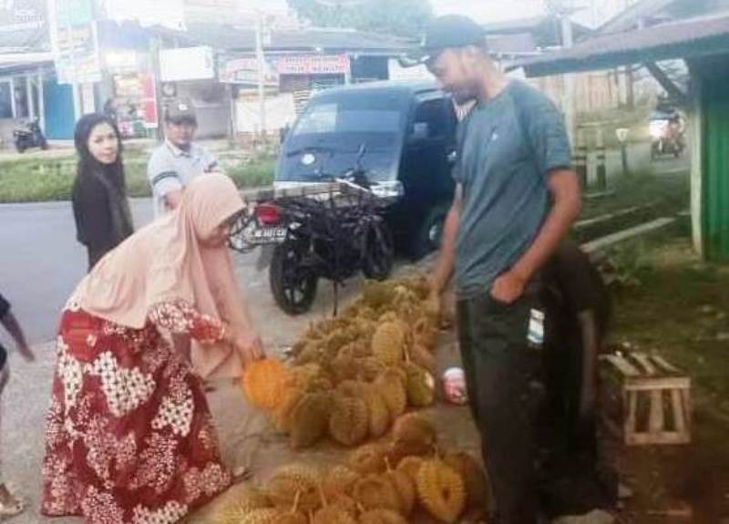 Durian Seluma Dijadikan  Tempoyak dan Lempuk