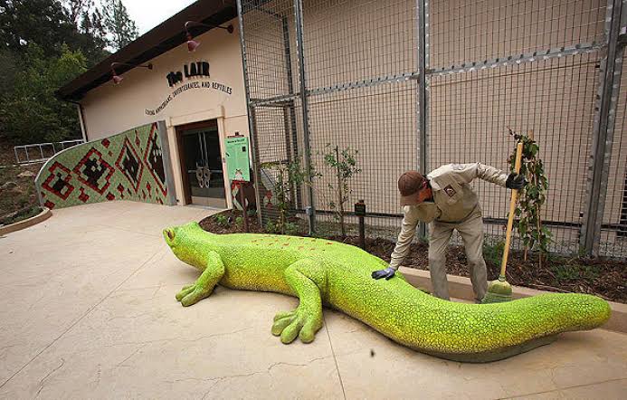 5 Tempat Wisata Edukasi Ular dan Reptil: Belajar tentang Reptil dalam Lingkungan yang Aman