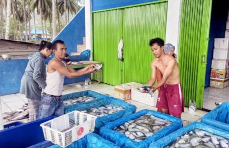 Walau Harga Murah, Ikan Kapak Bawa Berkah untuk Nelayan Linau