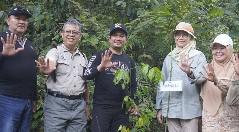 Bupati Bengkulu Utara Dampingi Direktur Pengembangan Usaha Perhutanan Sosial Tanam Bibit  Pohon Asuh