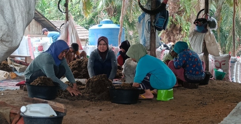 Pabrik UMKM Home Industri CPO Dihentikan, Puluhan Buruh Seluma Kehilangan Penghasilan