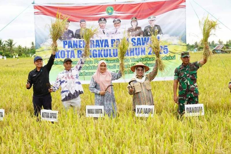 Optimis Target Tanam Padi 1.160 Hektar dalam Setahun Tercapai di Kota Bengkulu