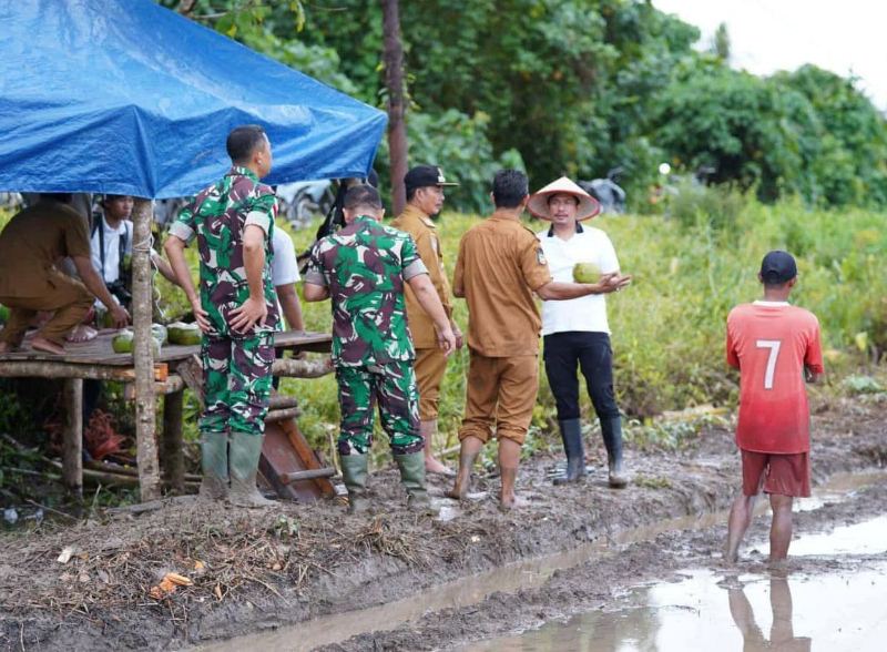 Saat Berkantor di Enggano, Bupati Arie  Langsung Ikut Menanam Padi Bersama Petani