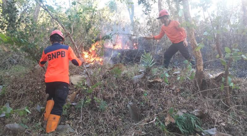 BNPB Imbau Warga Waspada Musim Kemarau