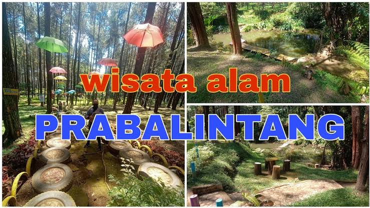 Tempat Wisata Prabalintang Danasari, Keindahan Alam Pinus Memukau, Konon Sebagai Tempat Jatuhnya Bintang