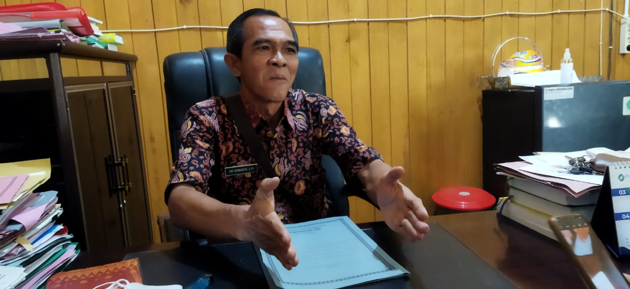 Bengkulu Selatan Usulkan Bibit Jagung dan Padi Sebanyak Ini