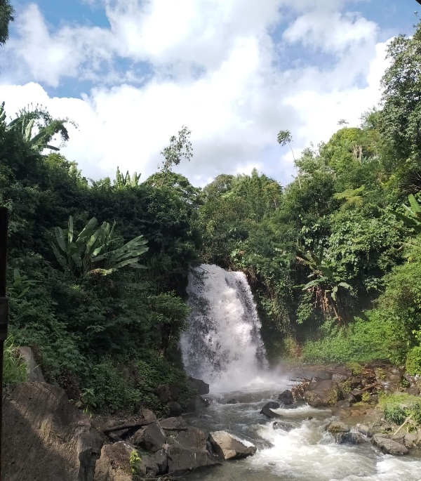  Indahnya Air Terjun Tirta Mandiri   di Kebun Teh Kabawetan  Kepahiang Bikin  Wisatawan Lupa Pulang