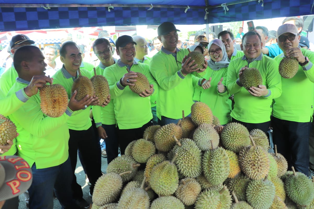 Festival Durian Dan Makan Durian Gratis Sukses Digelar di Bengkulu Tengah