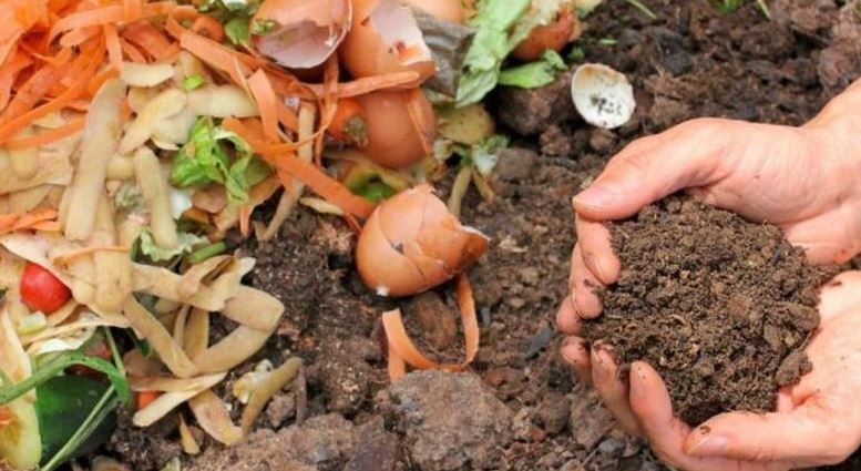 Ini Dia Cara Membuat Pupuk Organik Cair dari Limbah Dapur