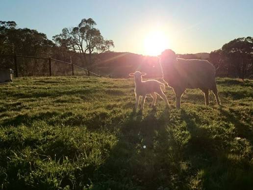 Wisata Hening: Destinasi Tanpa Sinyal Jadi Incaran Baru