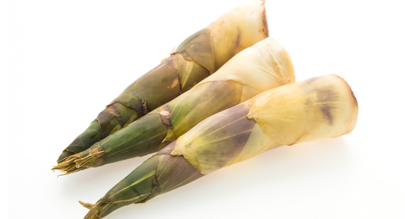 Rebung Disebut Ilmuwan Inggris Bakal Jadi Superfood Masa Depan