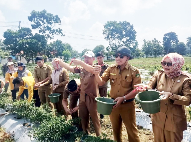 Sekretaris Daerah  Bengkulu Selatan Memperlihatkan Hasil Pemanfaatan Lahan yang Kurang Produktif