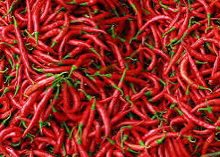 Ini Update Kondisi Harga dan Inflasi di Kota Bengkulu Awal 2026