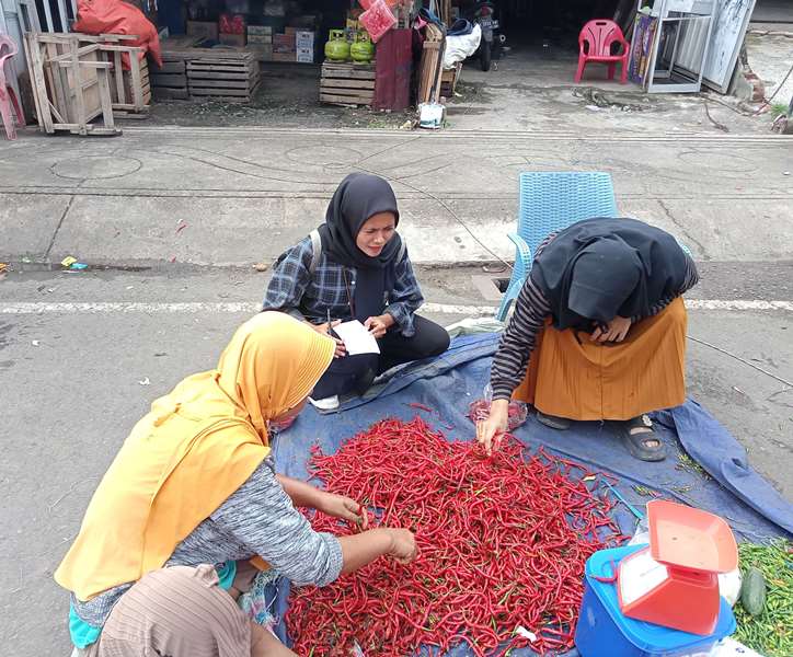  Harga Cabai Turun Pesat Akibat Pergantian Cuaca 