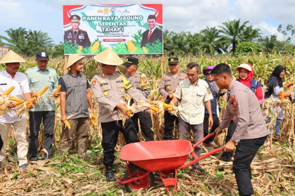 Ini Bukti Polres Bengkulu Selatan Mendukung Ketahanan Pangan Nasional, Panen Raya Tahap I Sukses