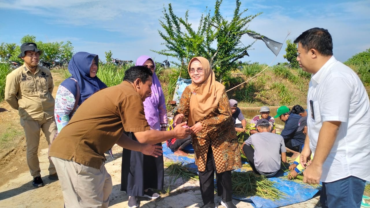 Wabup Mukomuko Komentari Jalan Sentra Pangan Banyak Rusak: Silahkan Ajukan JUT