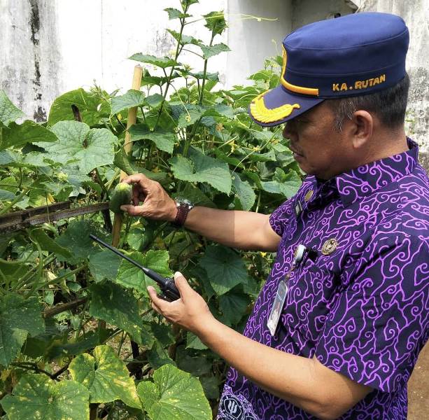 Kepala Rutan Kelas II B Manna Pastikan Program Pembinaan Kemandirian Bidang Pertanian