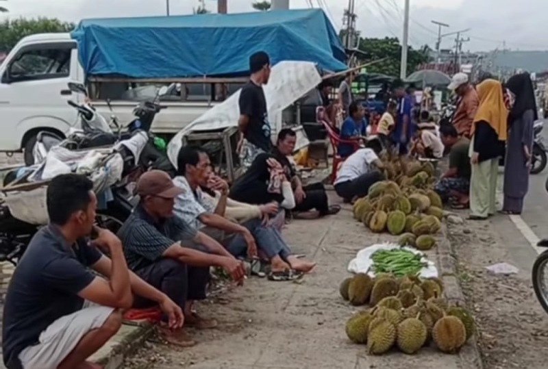 Alun-Alun Kota Tais Kini Jadi Tempat   Pedagang Jual Buah Durian