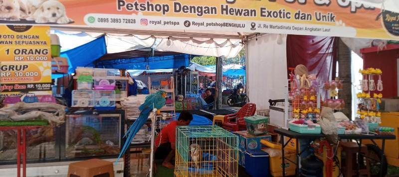 Serunya Berinteraksi dengan Satwa  Eksotis di Bengkulu, Hanya Bayar Rp 10.000