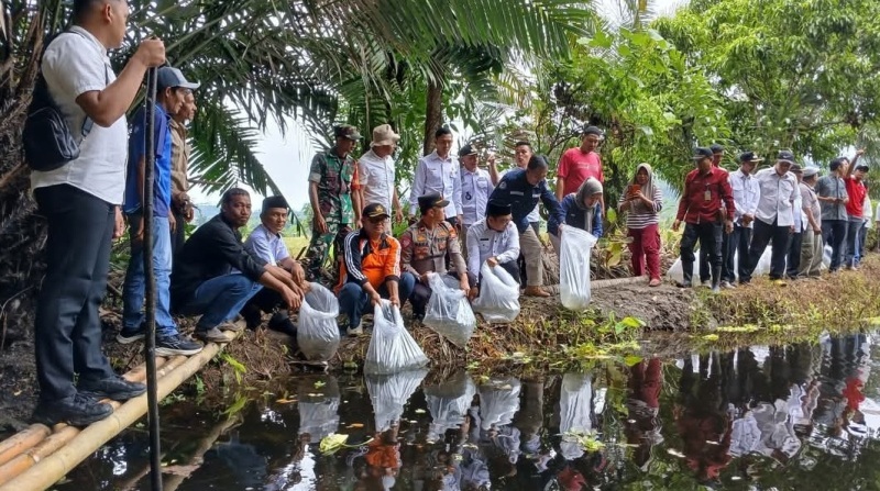 Wakil Bupati Kaur Tebar 10 Ribu Bibit Ikan Nila di Aliran Sungai dan Kolam