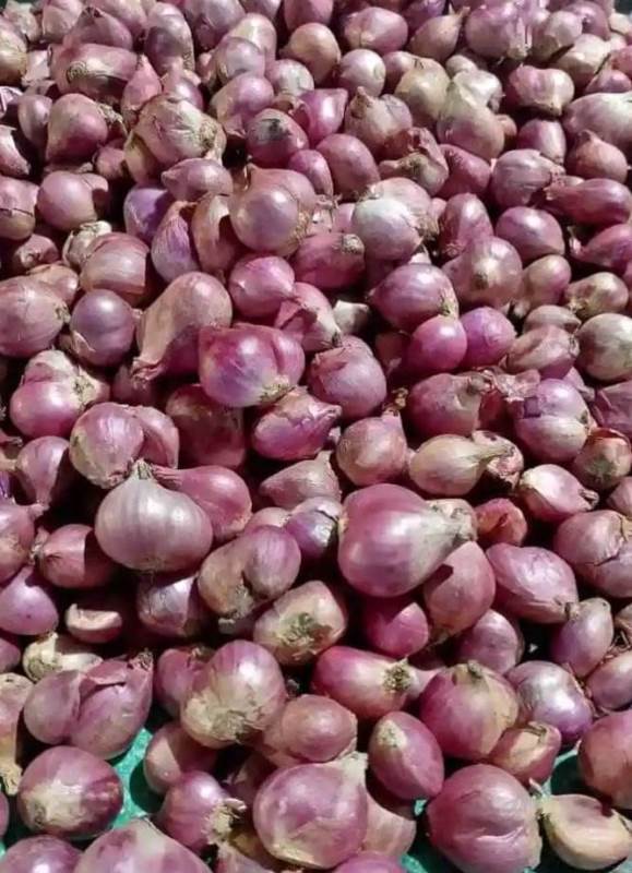  Pembeli dan Penjual Mengeluh, Harga Bawang Naik di Pasar Panorama Bengkulu